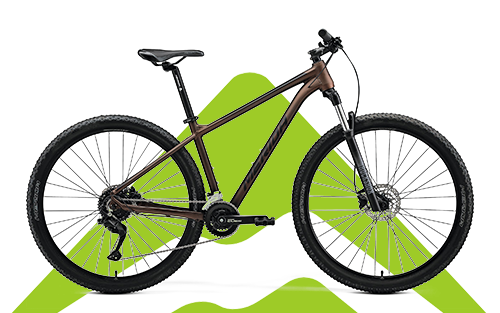 MTB