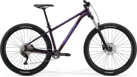 Велосипед MERIDA BIG.TRAIL 400 2023 silk dark purple