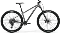 Велосипед MERIDA BIG.TRAIL 600 2024 silk gunmetal grey (black)