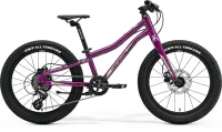 Велосипед MERIDA MATTS J.20+ 2023 purple