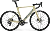 Велосипед MERIDA REACTO RIVAL-EDITION 2024 silk champagne (blue)