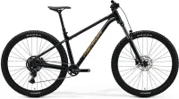 Велосипед MERIDA BIG.TRAIL 300 2025 black