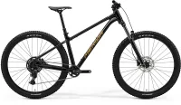 Велосипед MERIDA BIG.TRAIL 300 2026 black