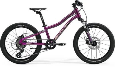 Велосипед MERIDA MATTS J.20 2023