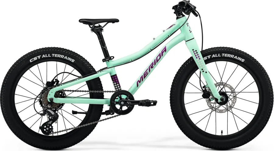 Велосипед MERIDA MATTS J.20+ 2024 matt mint (purple/wht/blk)